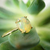 Ethiopian Opal Gem Ring