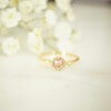 Pink Sapphire Diamond Compass Ring