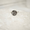 Salt and Pepper Black Tourmalinated Quartz Ring